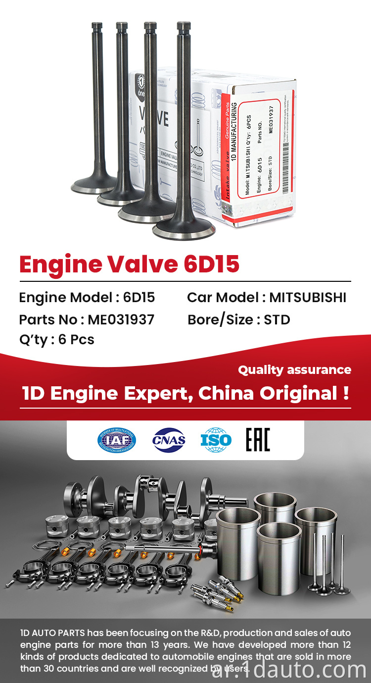 MITSUBISHI 6d15 Engine Valves 